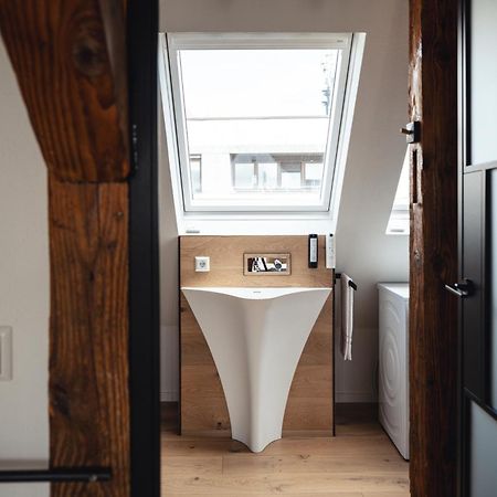 Historical Luxury Homes - Exclusive Selection Freiburg im Breisgau Eksteriør billede