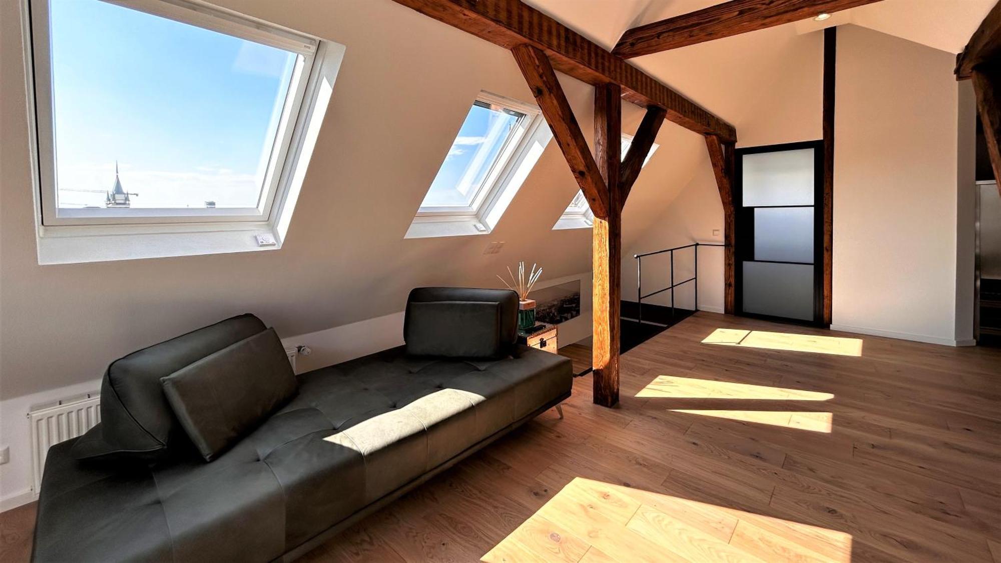 Historical Luxury Homes - Exclusive Selection Freiburg im Breisgau Eksteriør billede