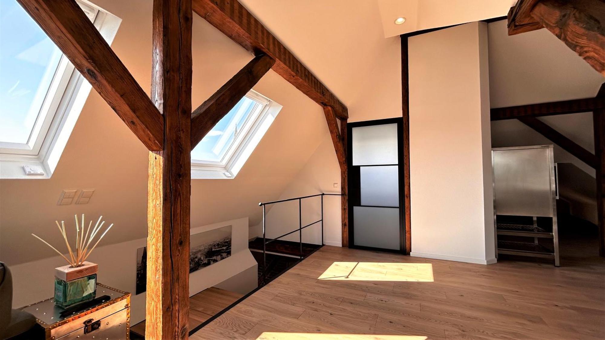 Historical Luxury Homes - Exclusive Selection Freiburg im Breisgau Eksteriør billede