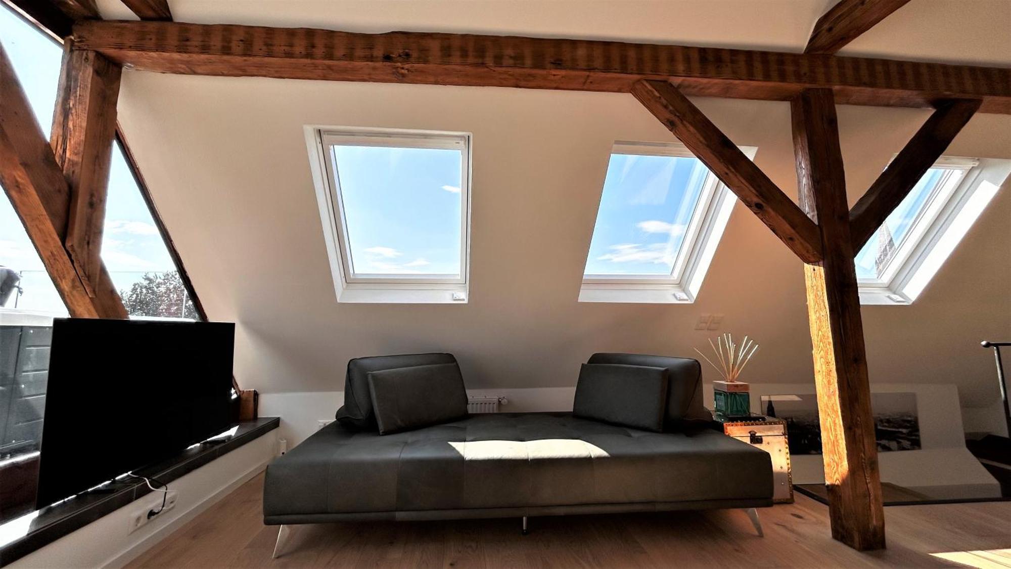 Historical Luxury Homes - Exclusive Selection Freiburg im Breisgau Eksteriør billede