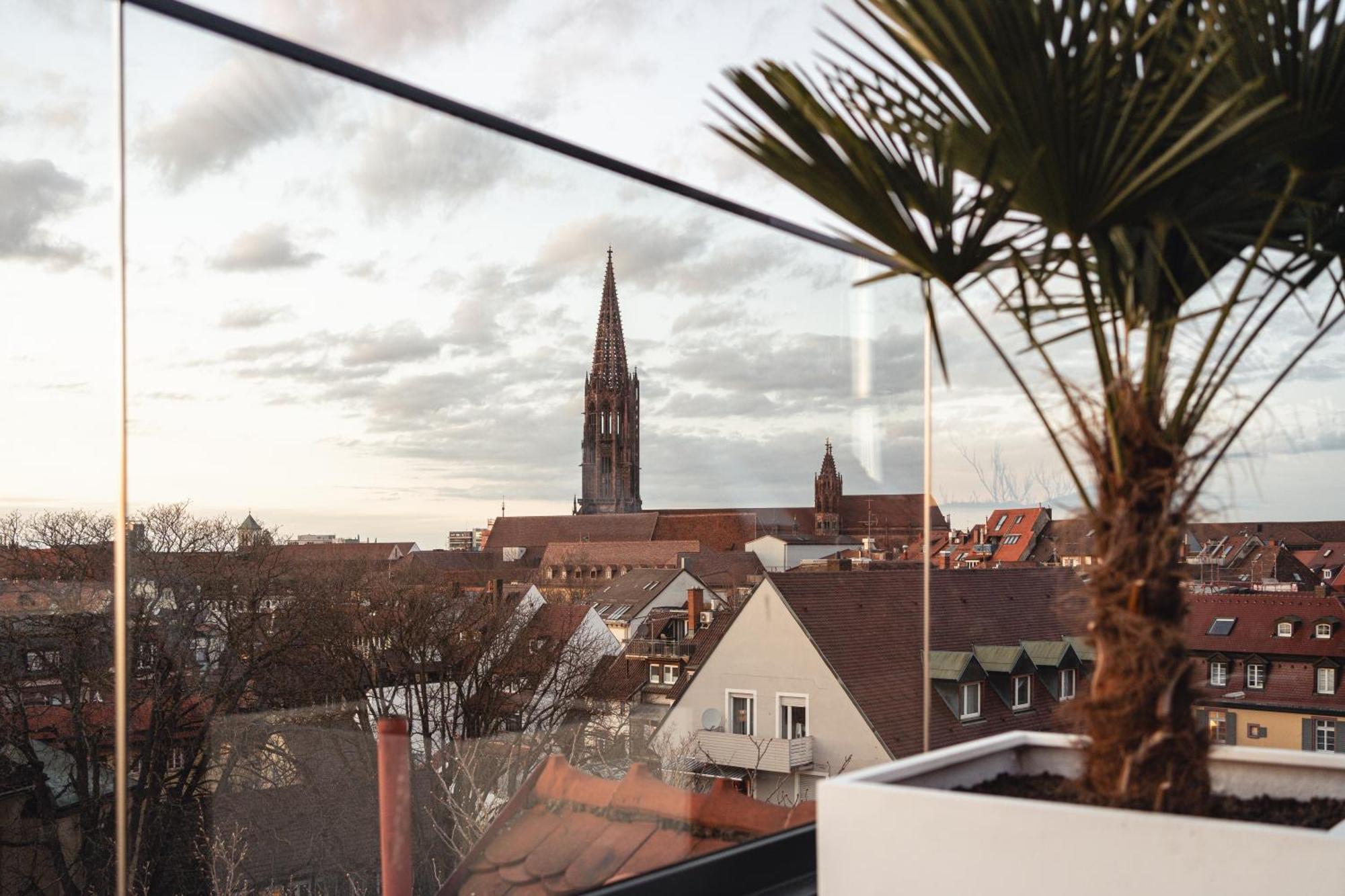 Historical Luxury Homes - Exclusive Selection Freiburg im Breisgau Eksteriør billede